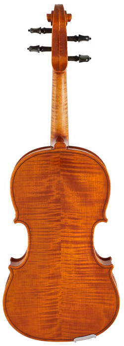 Strunal Schönbach Bologna - Jiří Hodina Violin 4/4 Kvarteto Ltd. - Akustické housle