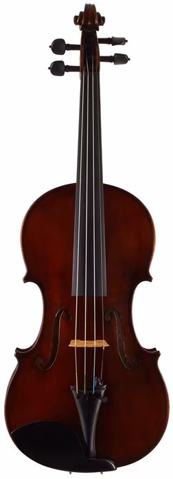 Martin W. Placht Guarneri model P - Akustické housle