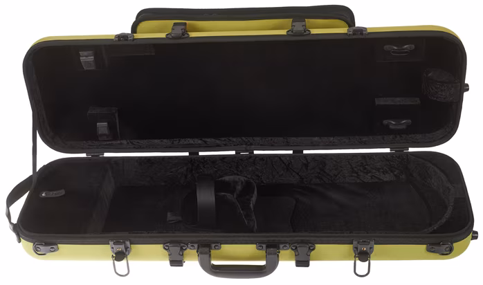 Gewa Bio Vln Case 4/4 LIME - Pouzdro na housle