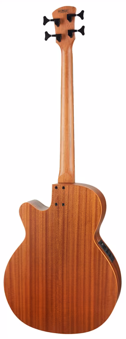 Spector Timbre 4 Jr. Natural Finish - Elektroakustická baskytara