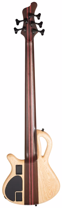 Mayones Caledonius 5 Raw Graphite Poplar Tom - Elektrická baskytara