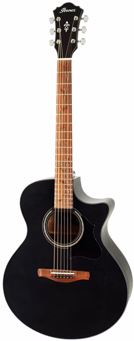 Ibanez AE295-WK - Elektroakustická kytara