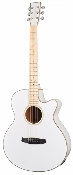 Tanglewood TW4 BLW - Elektroakustická kytara