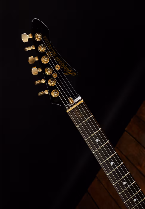 Aria Pro 2 1983 ZZ Deluxe BK - Elektrická kytara