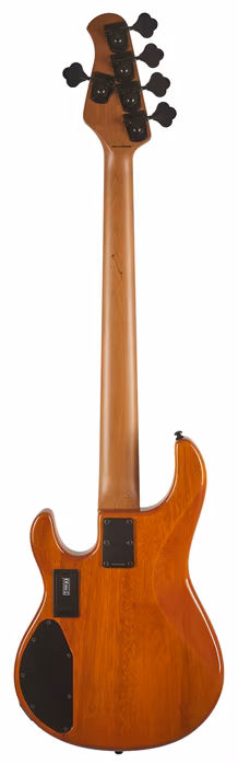 Sterling by Music Man Ray35 Poplar Burl Amber - Elektrická baskytara