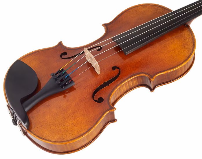 Vienna Violin Violine Pinus Vintage 4/4 - Akustické housle