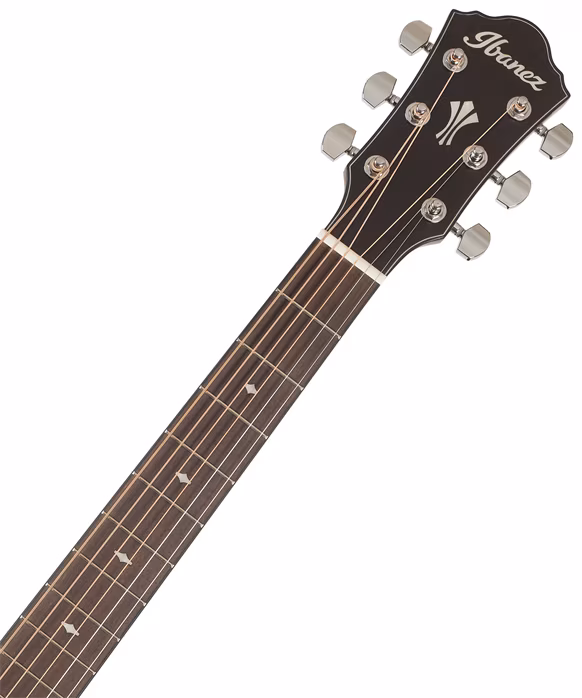 Ibanez AEG220S Natural - Elektroakustická kytara