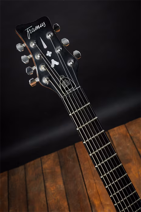 Framus Panthera Custom 7 - Elektrická kytara