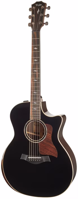 Taylor 814ce Blacktop Special Edition - Elektroakustická kytara