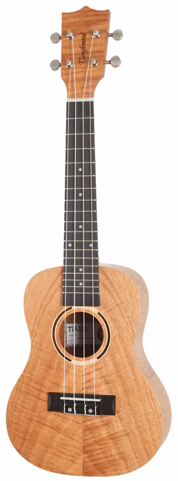 Tanglewood TWT6 - Akustické ukulele