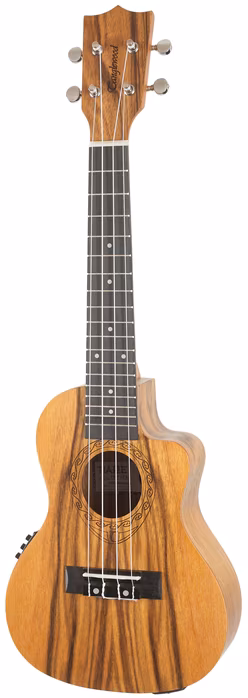 Tanglewood TWT 13 E - Elektroakustické ukulele
