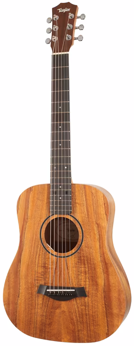 Taylor BTe-Koa - Elektroakustická kytara