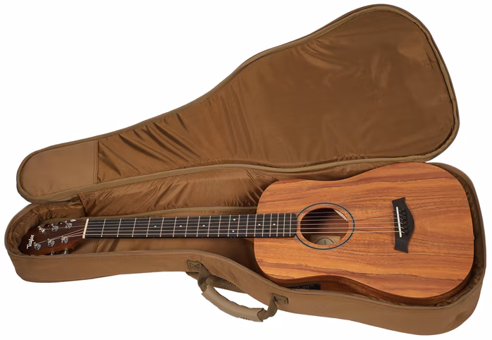 Taylor BTe-Koa - Elektroakustická kytara