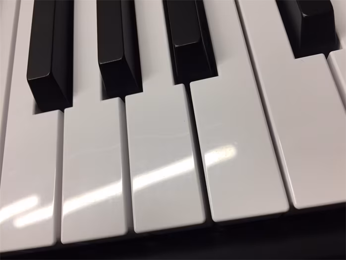 Roland GO:PIANO 88 (použité) - Klávesy s dynamikou úhozu