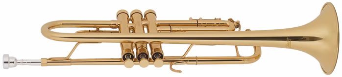 Bacio Instruments BTR-200GR - Trubka