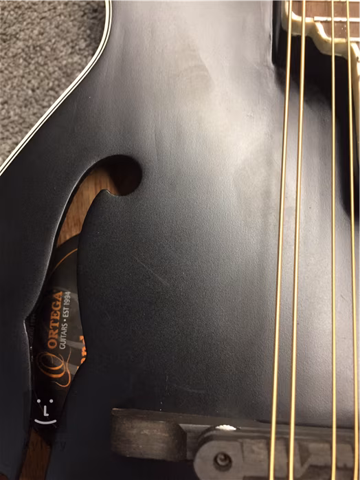 Ortega RMFE40SBK (použité) - Elektroakustická mandolína