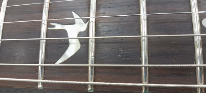 PRS SE Custom 24 BG 2021 (použité) - Elektrická kytara