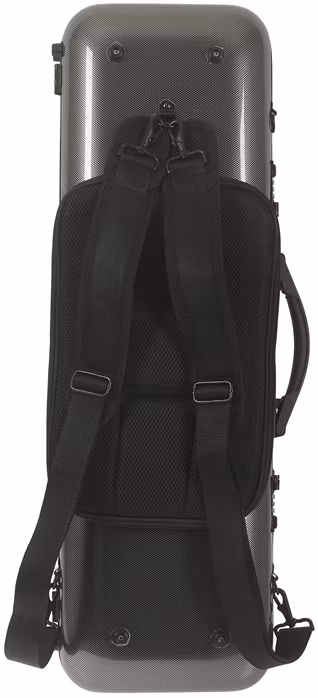 Palatino CF 420 Ultra Lite Vln Case v2.0 - Pouzdro na housle