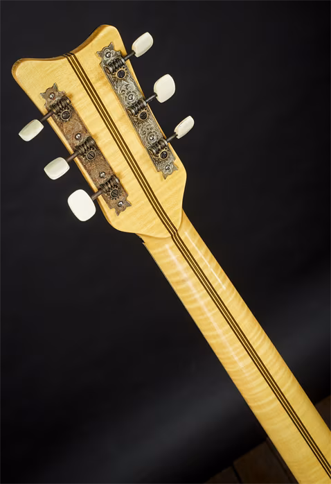 Cremona 1960 Mistr. Gibson 3557 Brauerova dílna - Semiakustická kytara