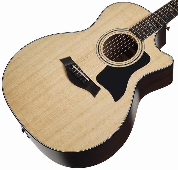 Taylor 314ce SE Rosewood - Elektroakustická kytara