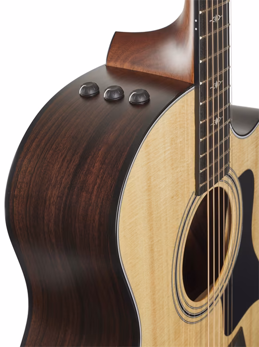 Taylor 314ce SE Rosewood - Elektroakustická kytara