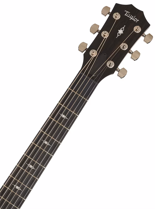 Taylor 314ce SE Rosewood - Elektroakustická kytara
