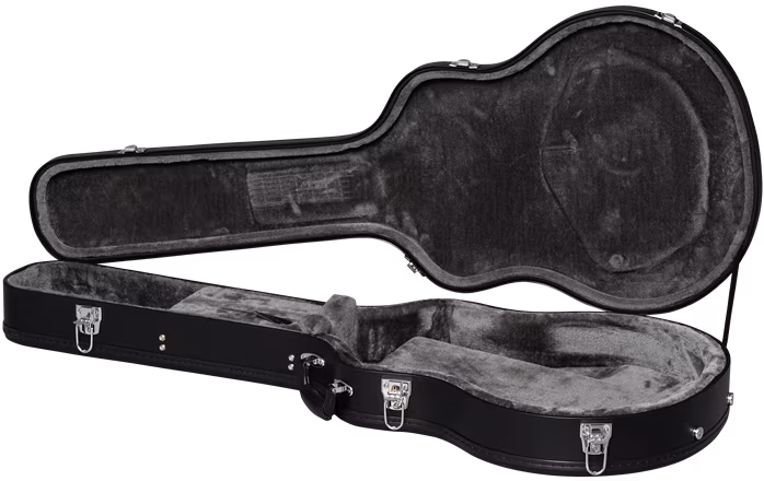 Epiphone Dave Grohl DG-335 - Semiakustická kytara