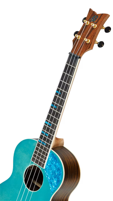 Ortega RUGH-OCT - Akustické ukulele