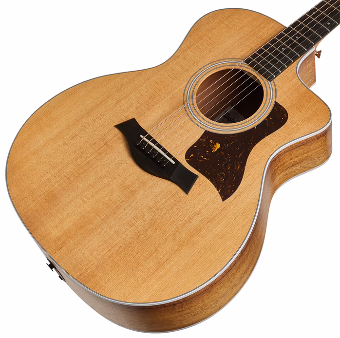 Taylor 214ce-K - Elektroakustická kytara