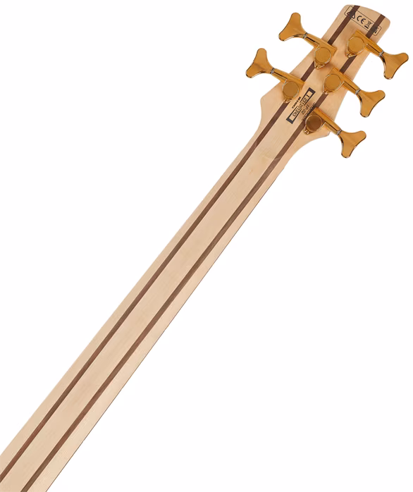 Ibanez SR305EDX Cosmic blue Frozen - Elektrická baskytara