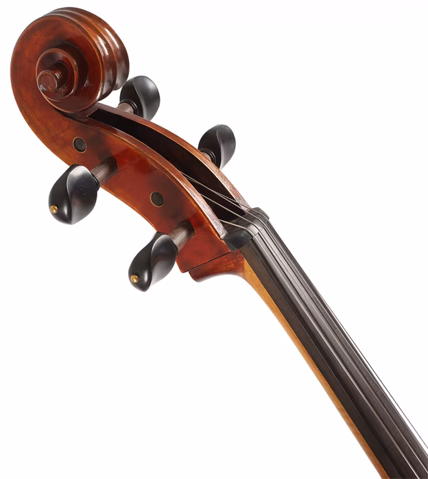 Eastman Andreas Eastman Master Cello 4/4 (VC605) - Violoncello