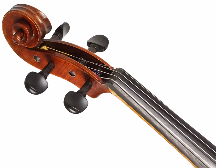 Eastman Rudoulf Doetsch Viola 16" (VA701G) - Viola