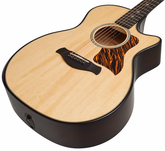 Taylor Builder’s Edition 314ce LTD - Elektroakustická kytara