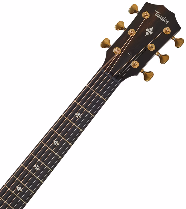 Taylor Builder’s Edition 314ce LTD - Elektroakustická kytara