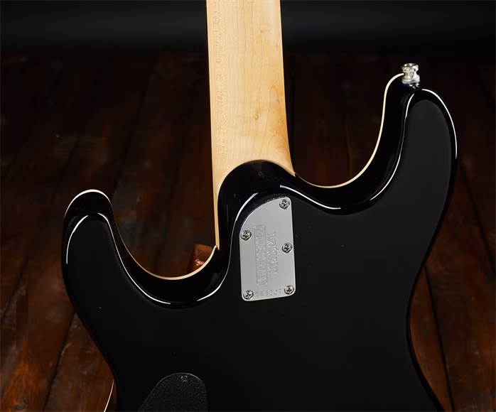 Music Man 2013 Steve Morse SM-Y2D Solar Flare - Elektrická kytara