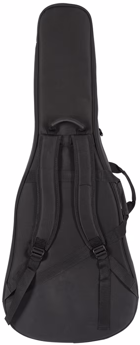 Eastman E1D-DLX - Elektroakustická kytara