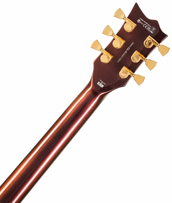 ESP LTD EC-1000 GA - Elektrická kytara