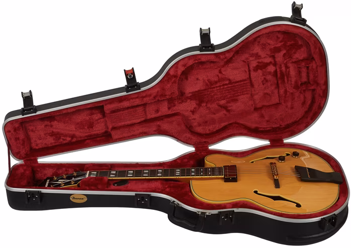 Ibanez PM200 Natural - Semiakustická kytara