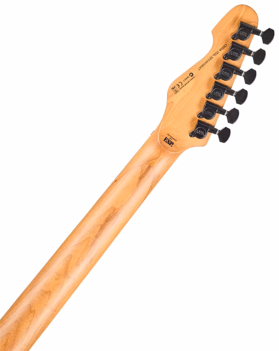 ESP LTD TE-200DX BLUE BURST (poškozené) - Elektrická kytara