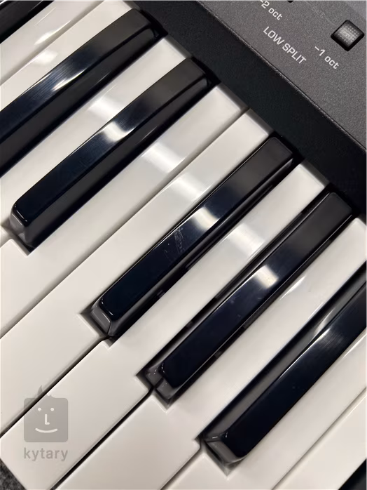 Sequential Take 5 (použité) - Hybridní syntezátor