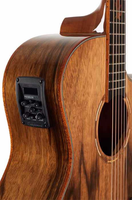 Tanglewood TW6 CE PW - Elektroakustická kytara