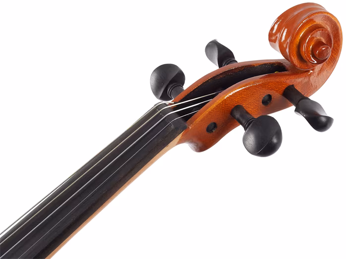 Eastman Samuel Eastman Violin 4/4 (VL50SBC ) (Zánovní) - Akustické housle