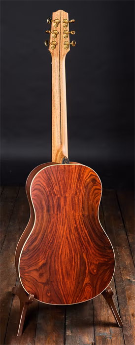 Dowina 2022 BVE Cocobolo Master Series Parlor - Elektroakustická kytara