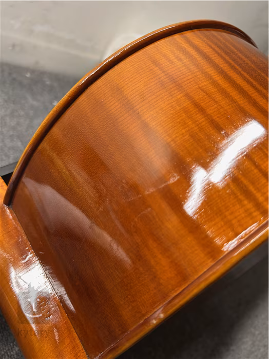 Bacio Instruments Professional Cello (AC300) 4/4 (poškozené) - Violoncello