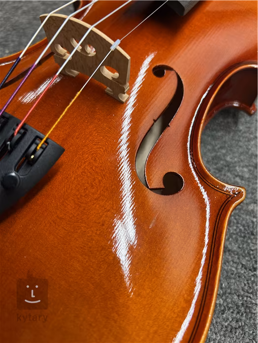 Gewa Ideale Violin Set 4/4 (použité) - Akustické housle