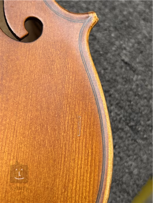 Pierre Marin Salieri Violin Set 3/4 (použité) - Akustické housle