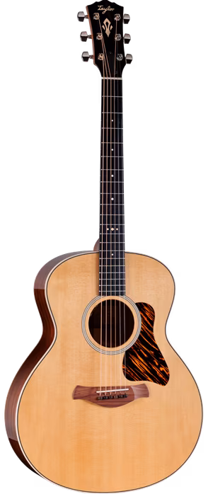 Taylor Gold Label 514e - Elektroakustická kytara