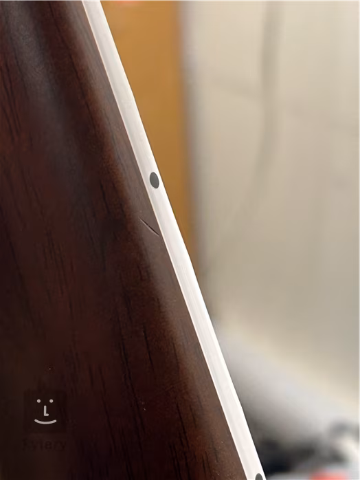 Seagull Artist Mosaic CW HG EQ (rozbalené) - Elektroakustická kytara