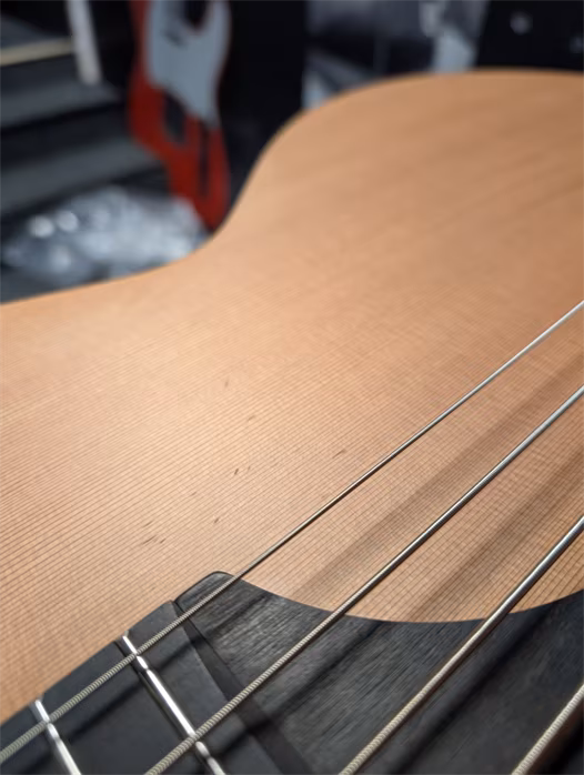 Furch Bc 61-CM 4 (použité) - Elektroakustická baskytara