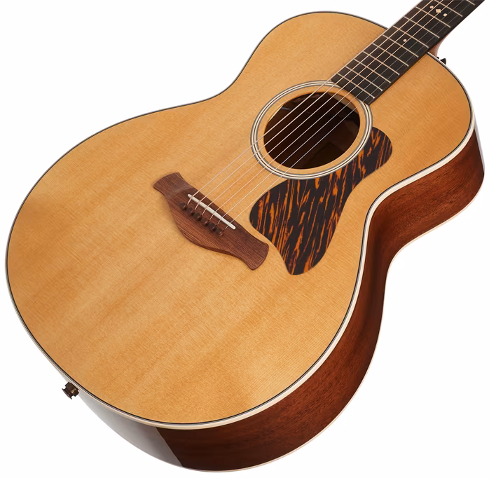 Taylor Gold Label 514e - Elektroakustická kytara